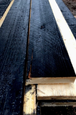 asphalt kollektiv