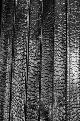 asphalt kollektiv