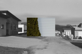  asphalt kollektiv