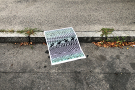 asphalt kollektiv