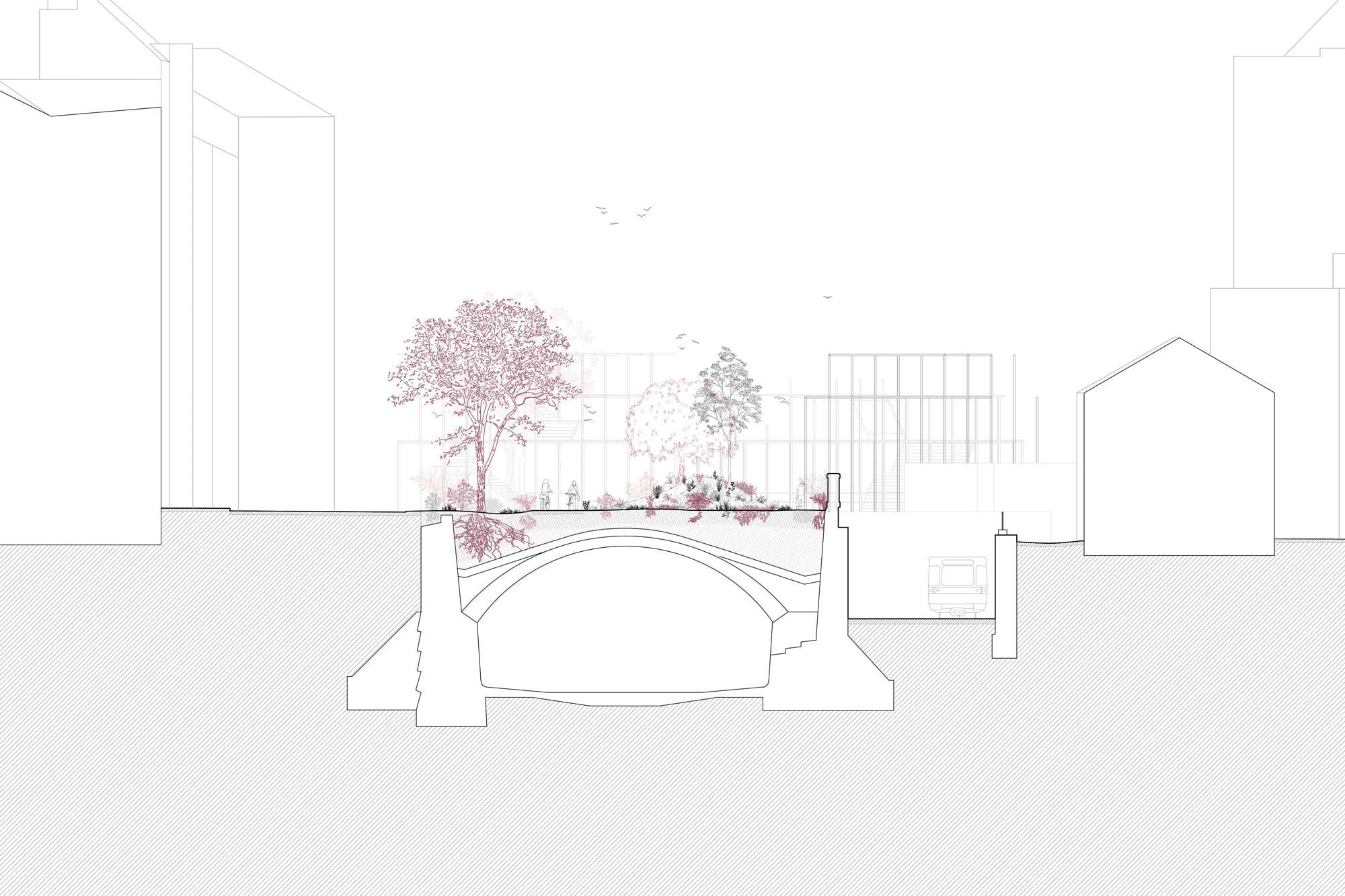 Section through the Stadtwildnis: trees and planting on the vault of the Wien river, the underground line beside it asphalt kollektiv