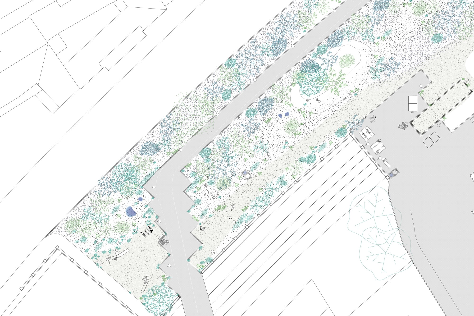 Floor plan of the Stadtwildnis: dense planting, a small pond and scattered seating along a winding path asphalt kollektiv