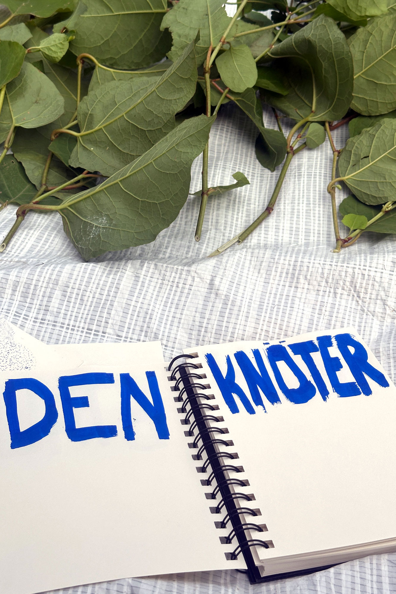 Knotweed leaves on a white mesh next to a sketchbook with hand-lettered blue text “DEN KNÖTER” asphalt kollektiv