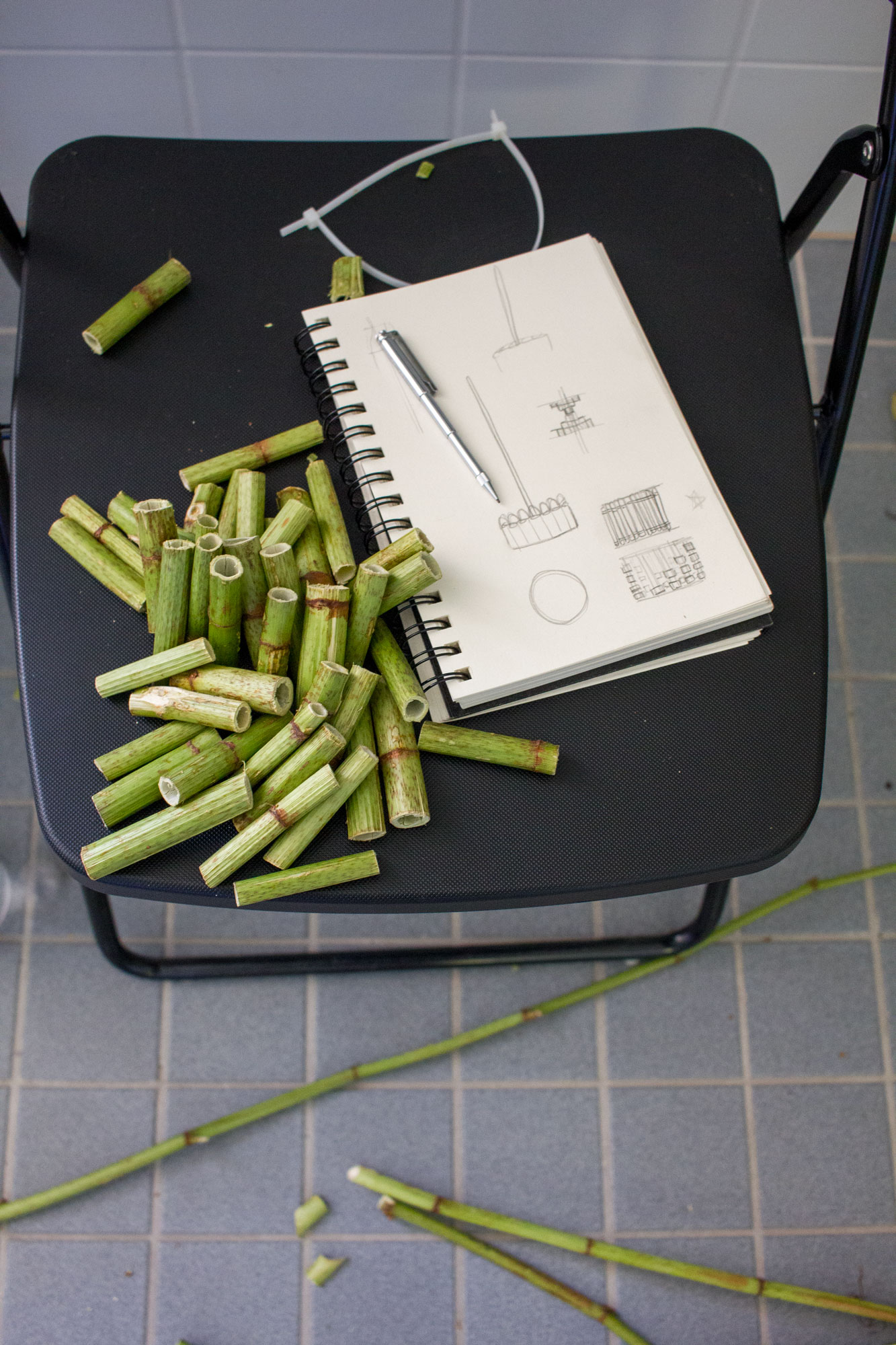 Short cut pieces of hollow knotweed stalk next to a sketchbook with first structural sketches on a folding chair asphalt kollektiv