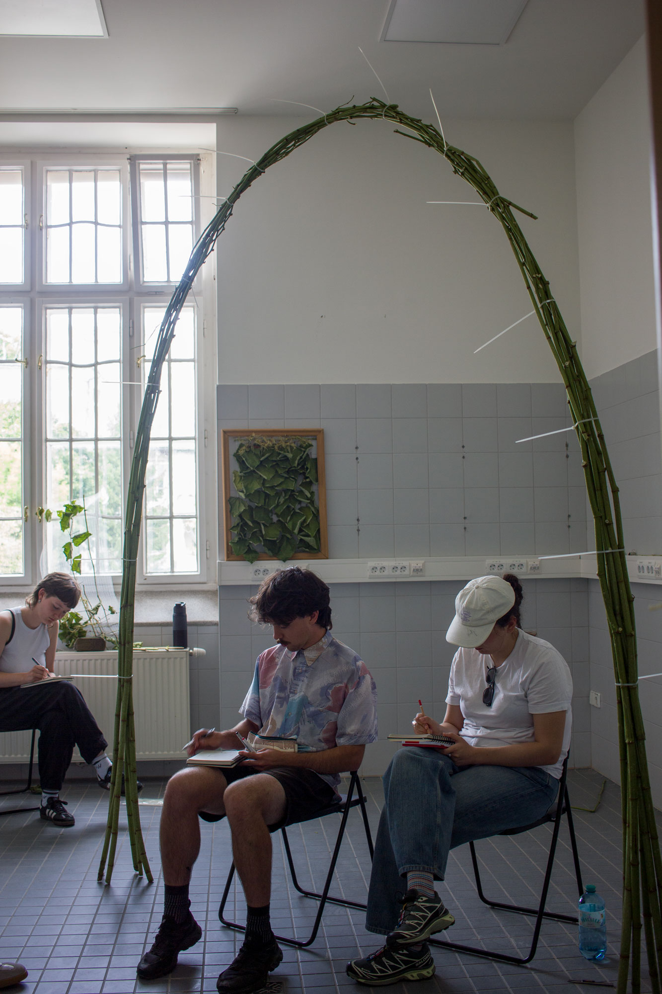 Full-scale arch of bundled knotweed stalks fixed with cable ties, participants sketching beneath it asphalt kollektiv